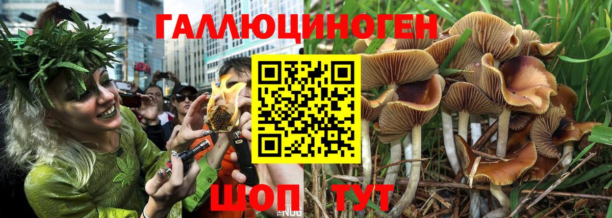 Псилоцибиновые грибы прущие грибы Сибай